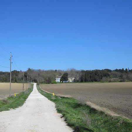 Chambres D'Hotes Domaine Saint-Joly Lasbordes 외부 사진
